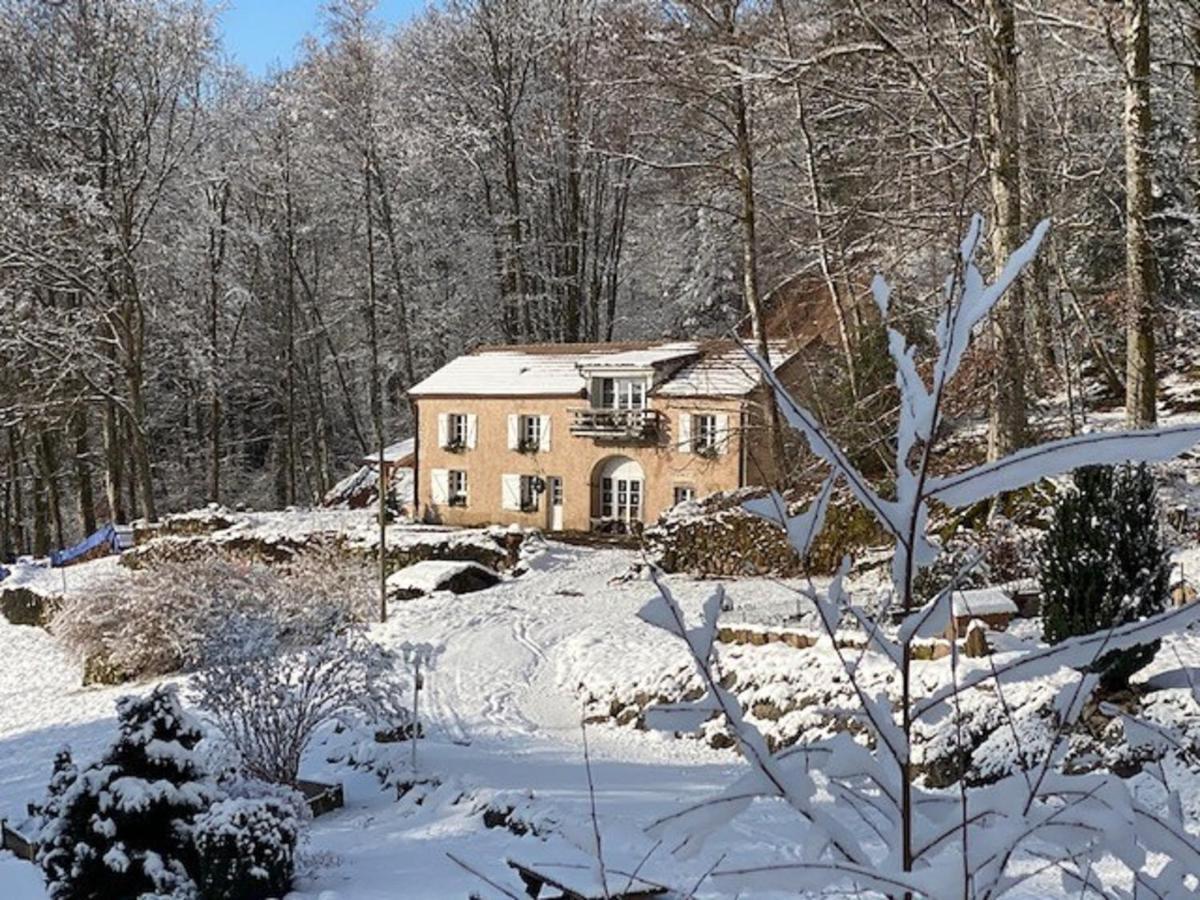 Gite Du Bois Des Hauts Les Mille Etangs La Lanterne-et-les-Armonts 외부 사진