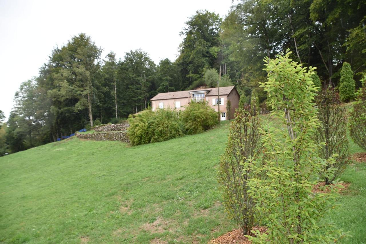 Gite Du Bois Des Hauts Les Mille Etangs La Lanterne-et-les-Armonts 외부 사진